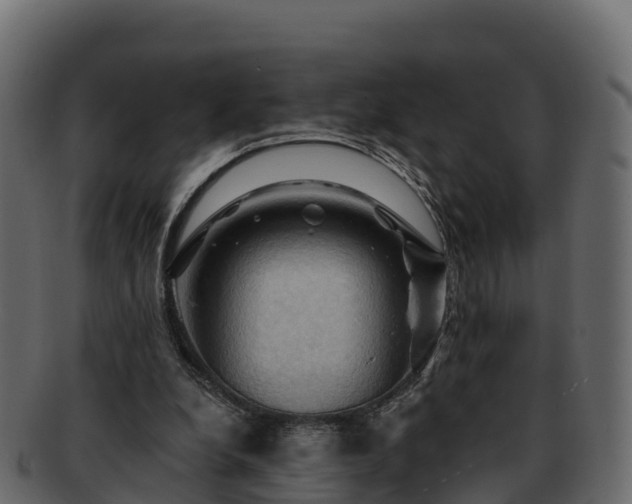 X0000092280248200710041416