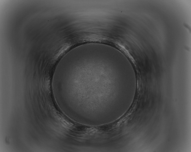 X0000092280249200710041416