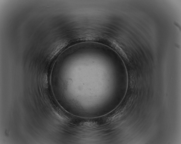 X0000092280251200710041416