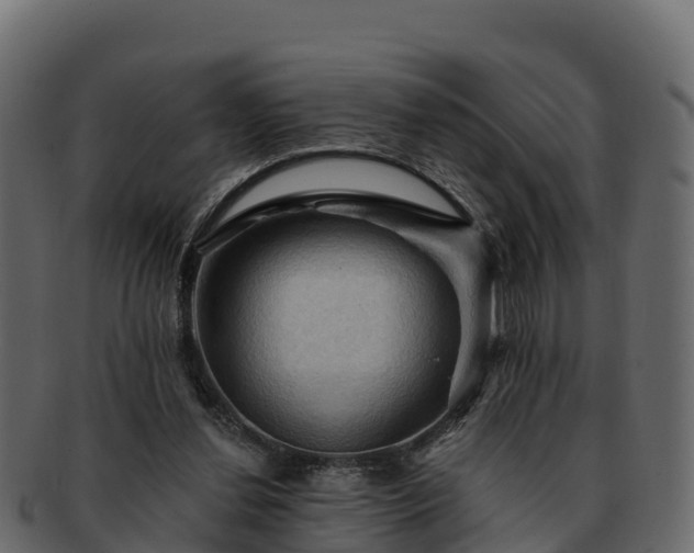 X0000092280252200710041416