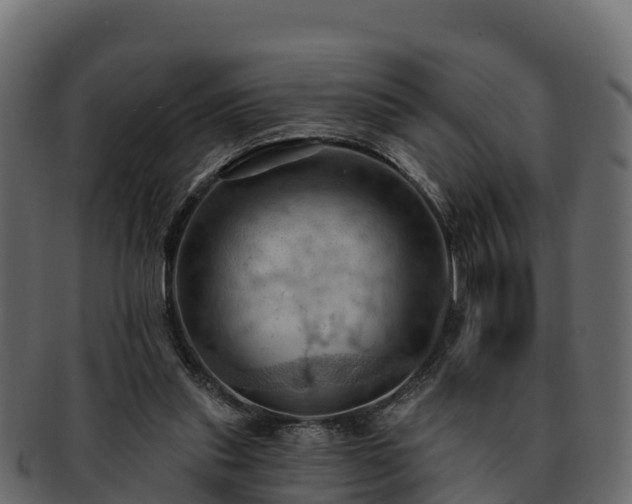 X0000092280253200710041416