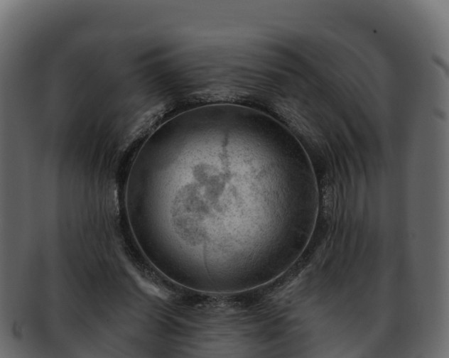 X0000092280254200710041416