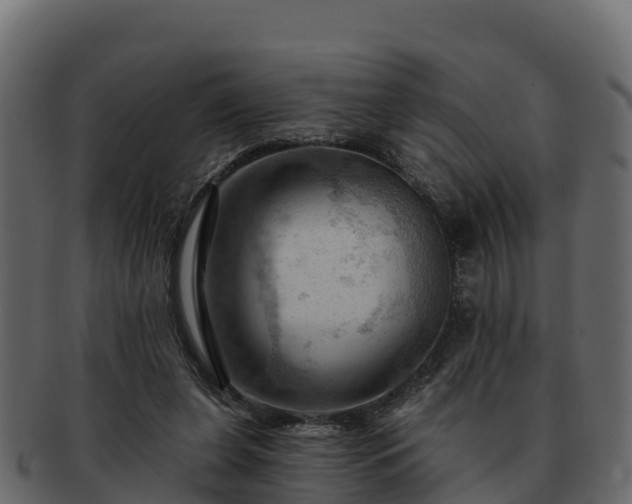 X0000092280255200710041416