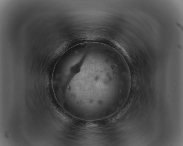 X0000092280257200710041416