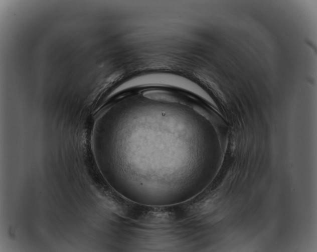 X0000092280260200710041416