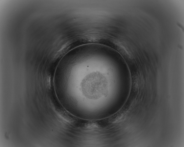 X0000092280262200710041416