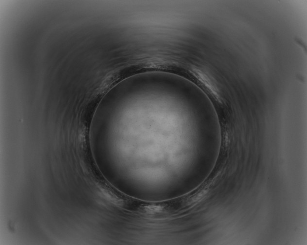 X0000092280265200710041416