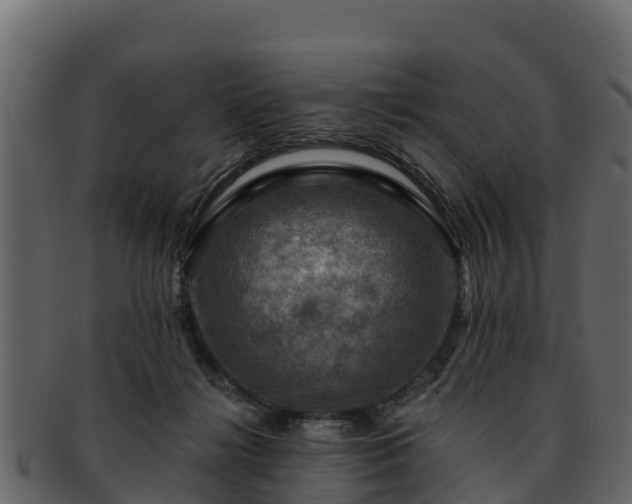 X0000092280268200710041416