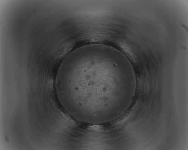 X0000092280269200710041416