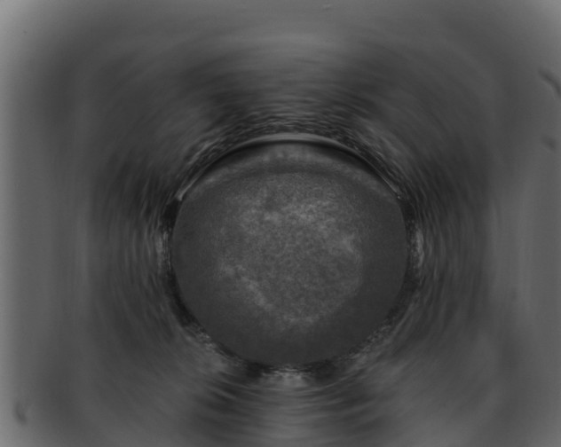 X0000092280276200710041416