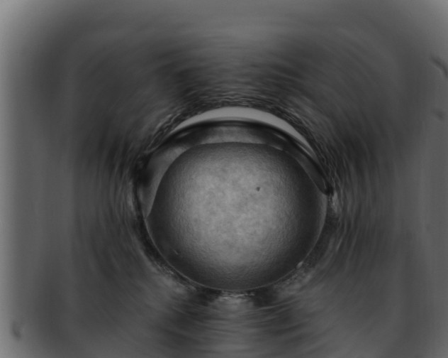 X0000092280280200710041416