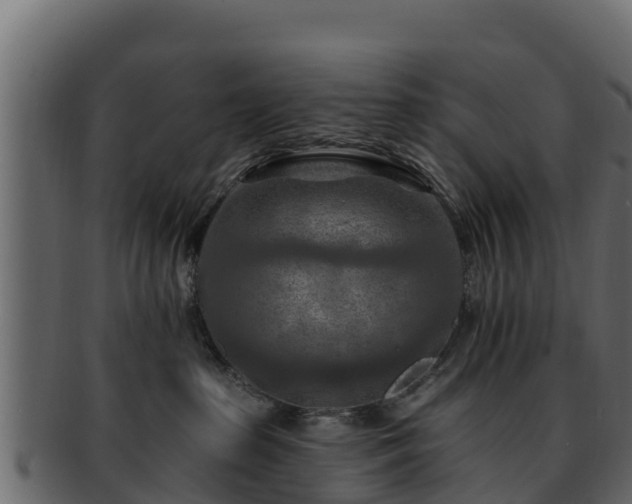 X0000092280285200710041416