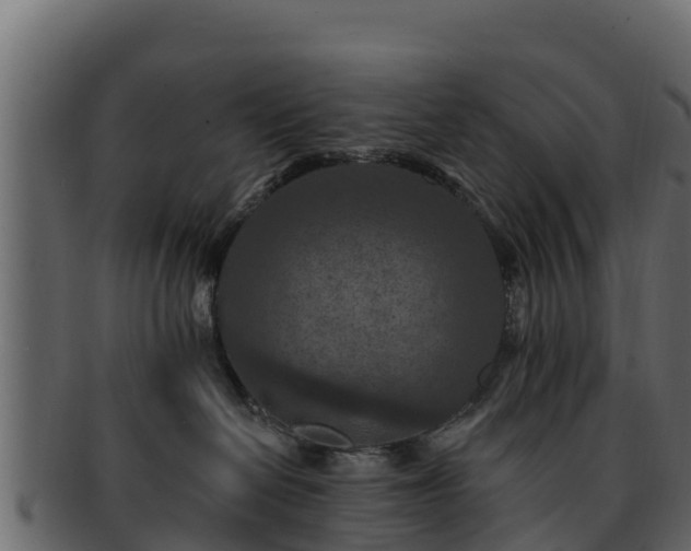 X0000092280286200710041416