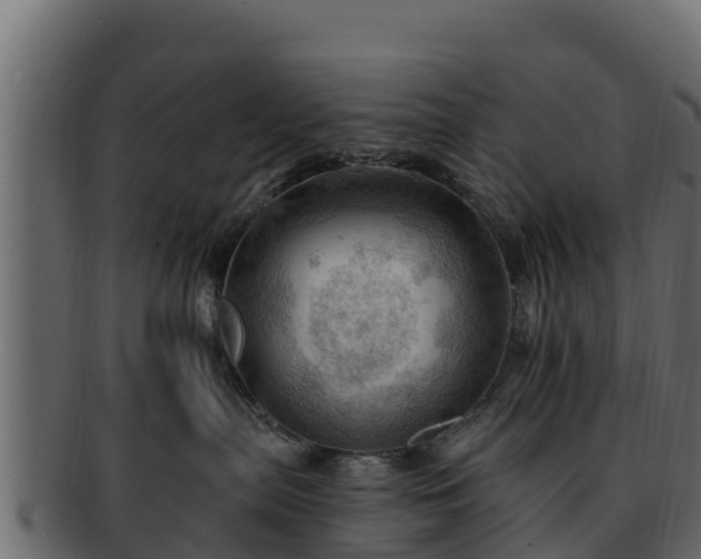 X0000092280287200710041416