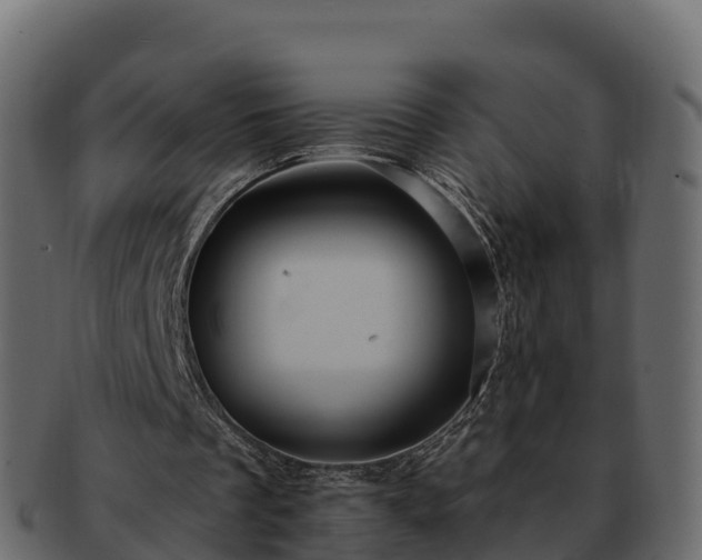 X0000092280289200710041416