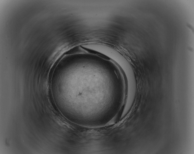 X0000092280290200710041416