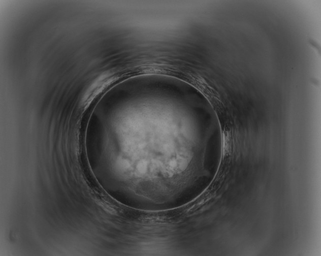 X0000092280291200710041416