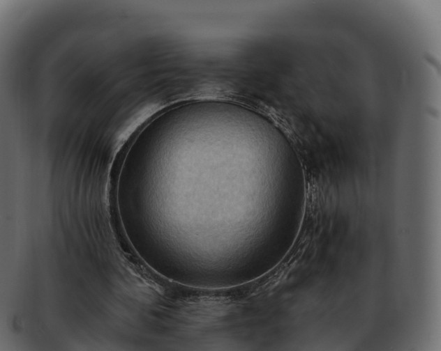 X0000092280292200710041416