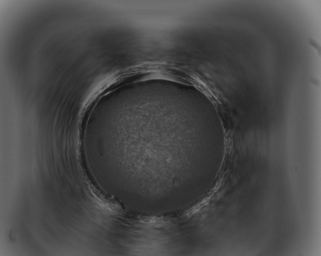 X0000092280293200710041416