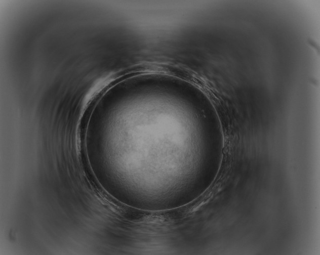 X0000092280294200710041416