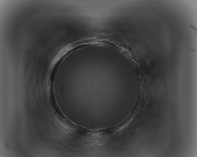 X0000092280295200710041416