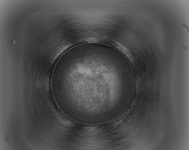 X0000092280297200710041416