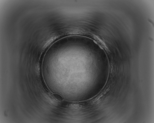 X0000092280298200710041416