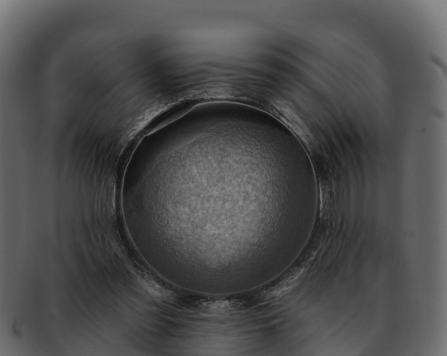 X0000092280301200710041416