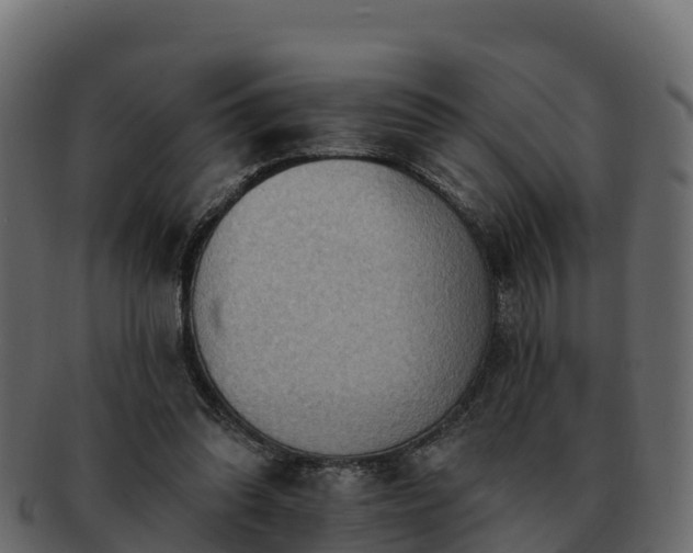 X0000092280302200710041416