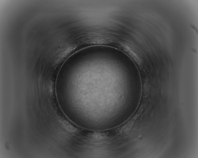 X0000092280305200710041415