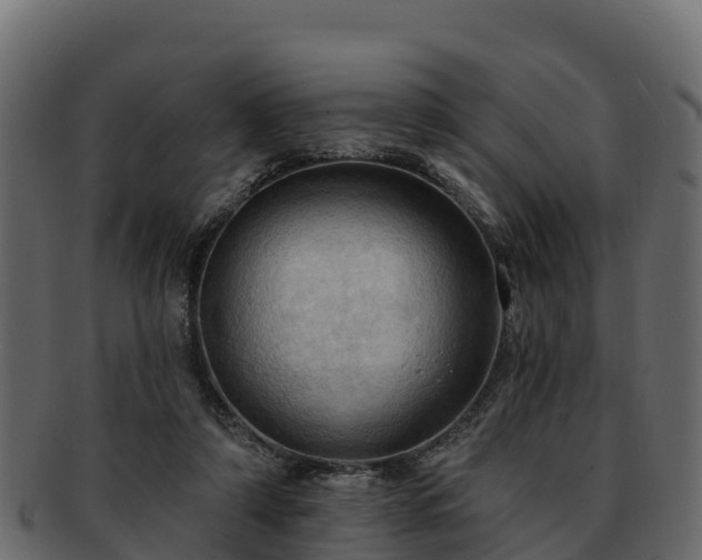 X0000092280306200710041415