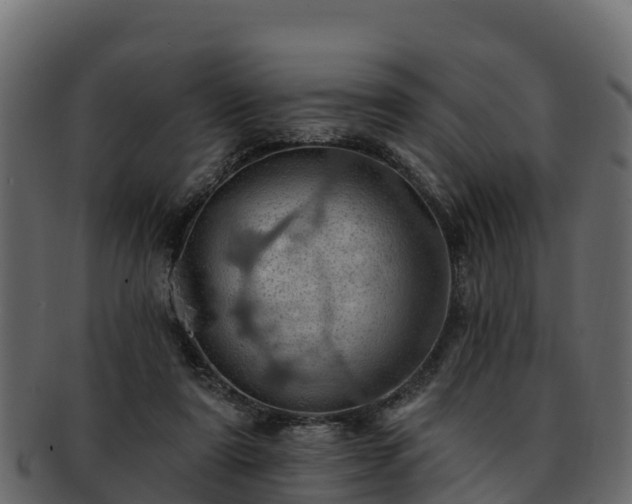 X0000092280307200710041415