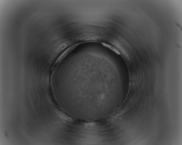 X0000092280309200710041415