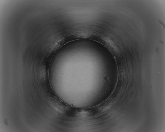 X0000092280312200710041415