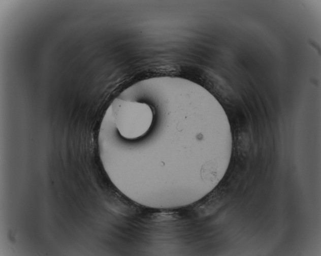 X0000092280320200710041415