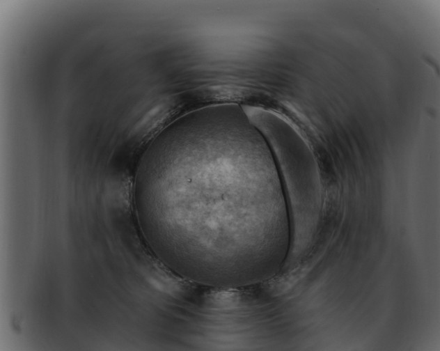 X0000092280325200710041415