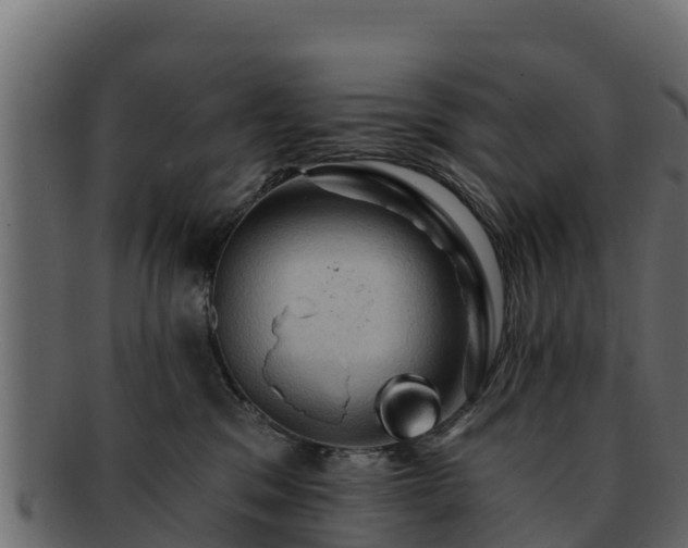 X0000092280329200710041415