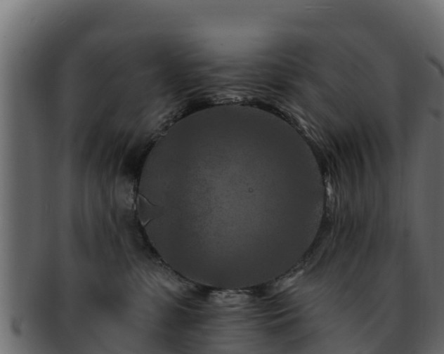 X0000092280331200710041415