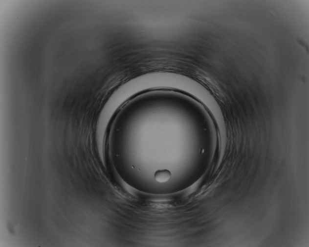 X0000092280333200710041415