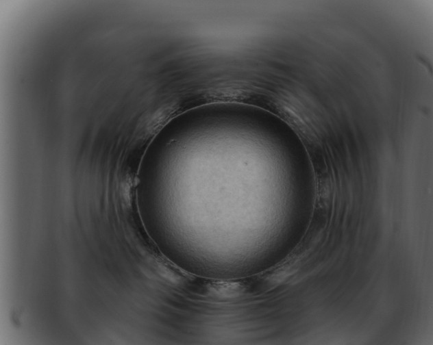 X0000092280334200710041415