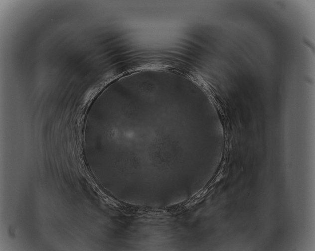 X0000092280337200710041415