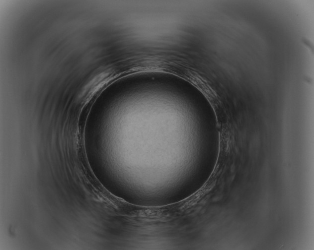 X0000092280338200710041415