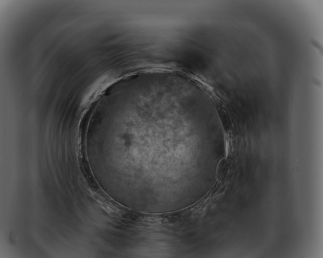 X0000092280339200710041415