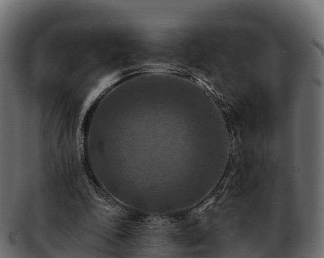 X0000092280343200710041415