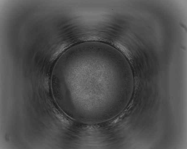 X0000092280345200710041415