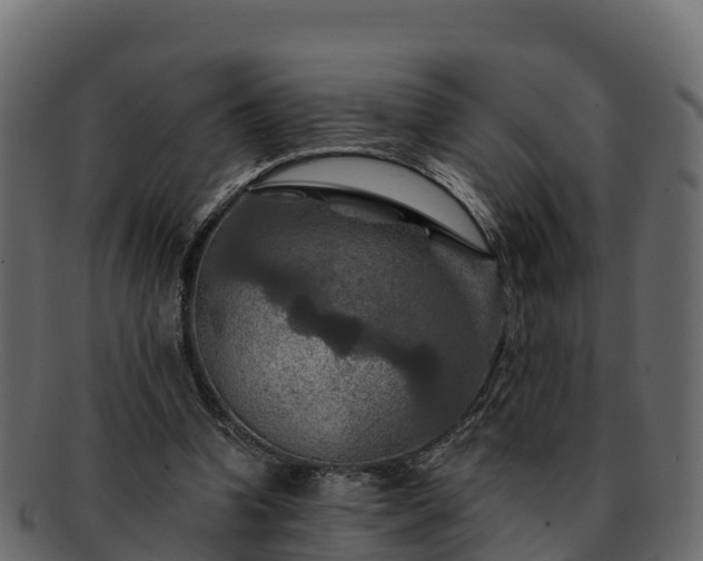 X0000092280346200710041415