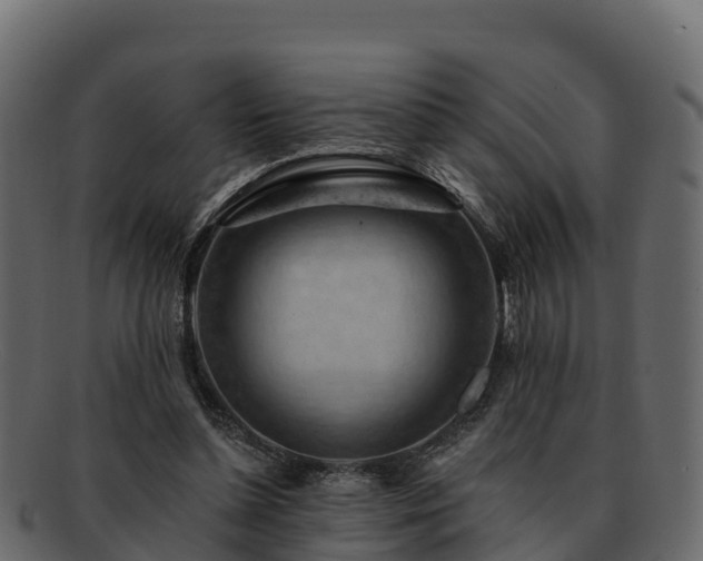 X0000092280348200710041415