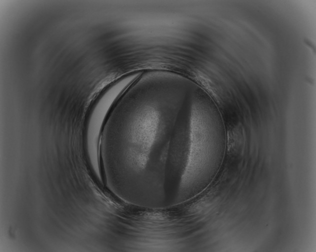 X0000092280349200710041415