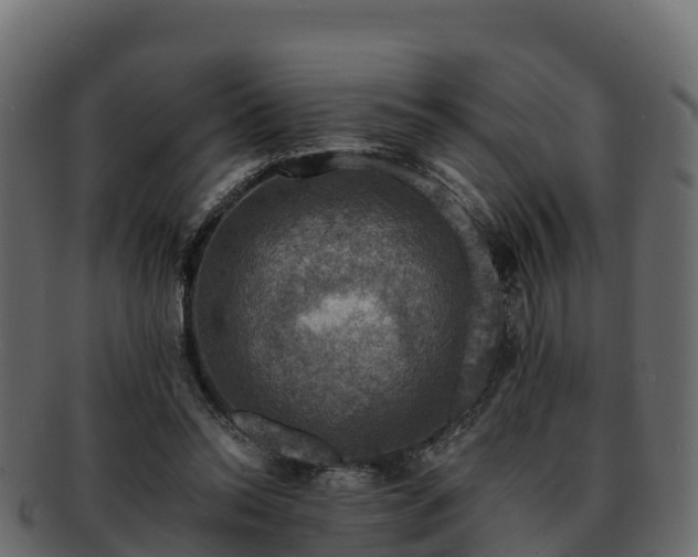 X0000092280350200710041415