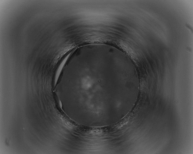 X0000092280353200710041415